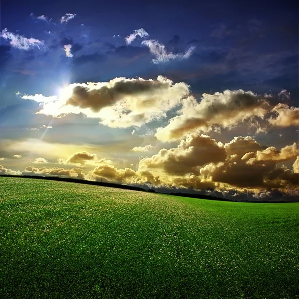 Zielona trawa, błękitne niebo i białe chmury — Zdjęcie stockowe