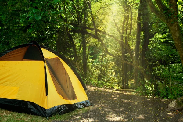 森の中で黄色のテント — ストック写真