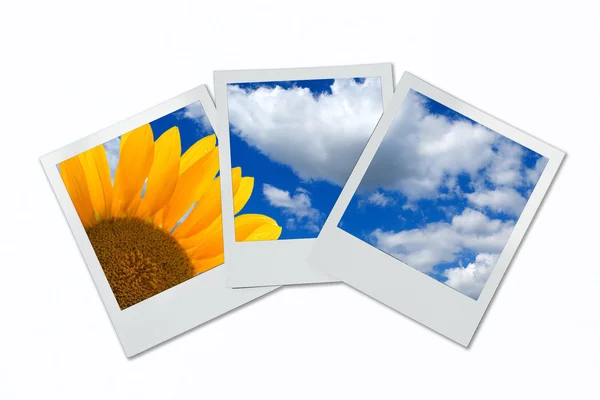 stock image Blank photoframe