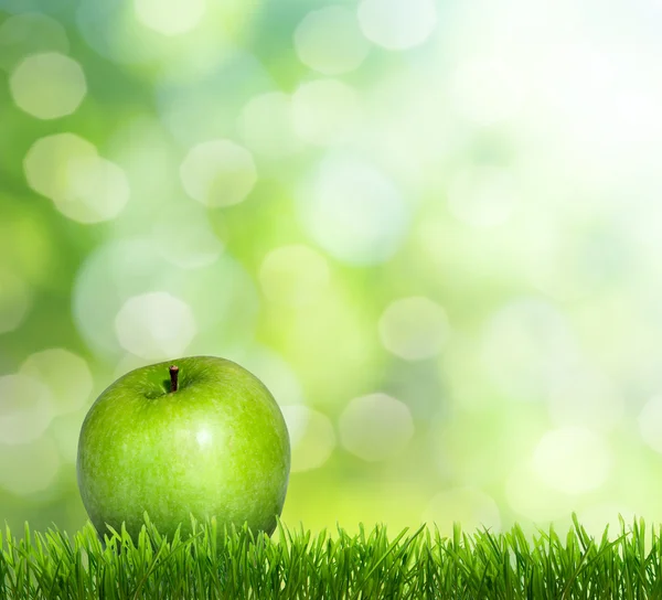 Apfel auf Gras — Stockfoto
