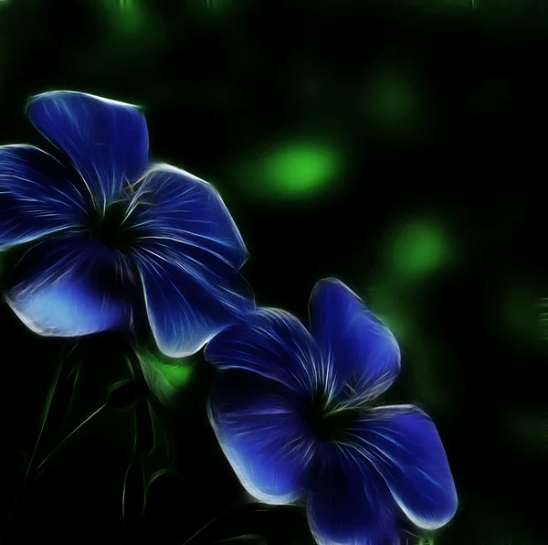 Fleurs de lin néon — Photo