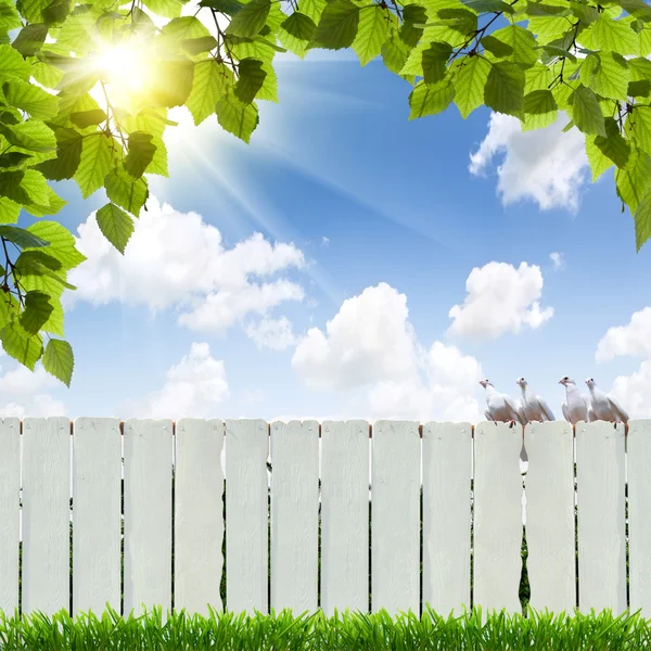 White fence — Stock Photo, Image