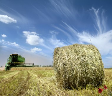 Haystack on the meadow clipart