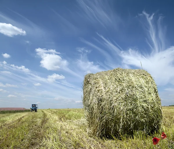 stock image Haystack on the meadow