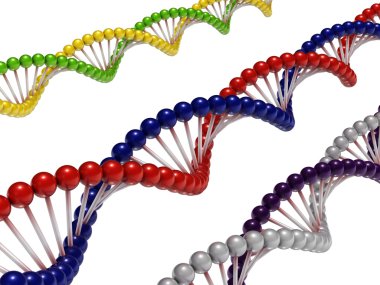 DNA Chains clipart