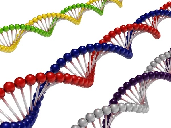 Цепи ДНК — стоковое фото