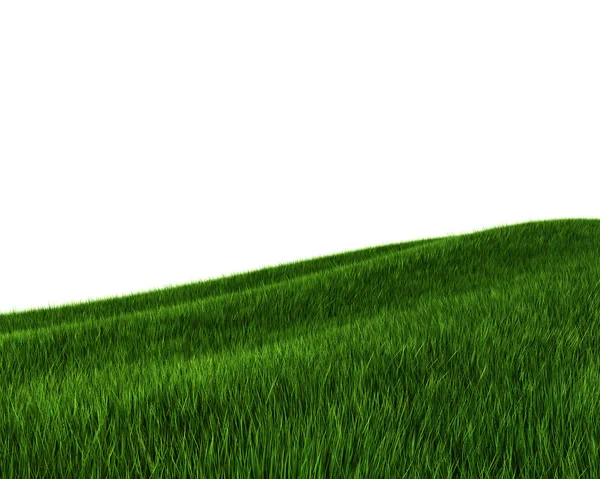 stock image Green grass field