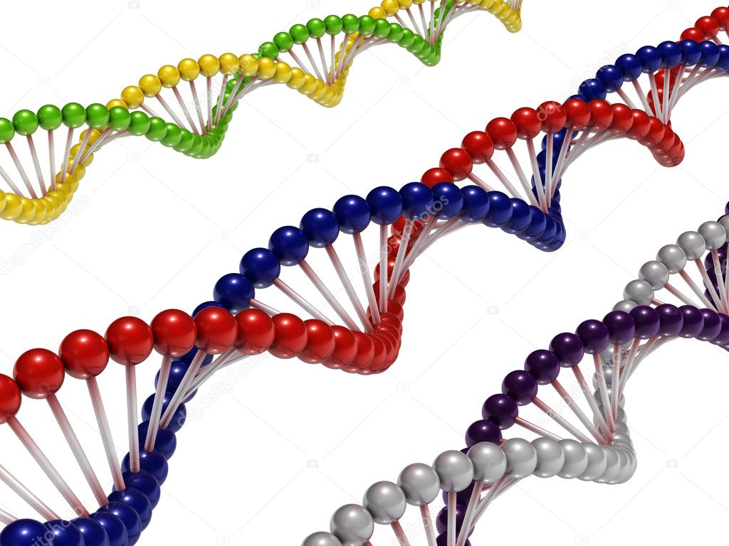 DNA Chains
