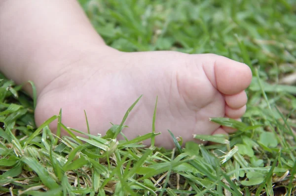 Babyfot på gresset – stockfoto