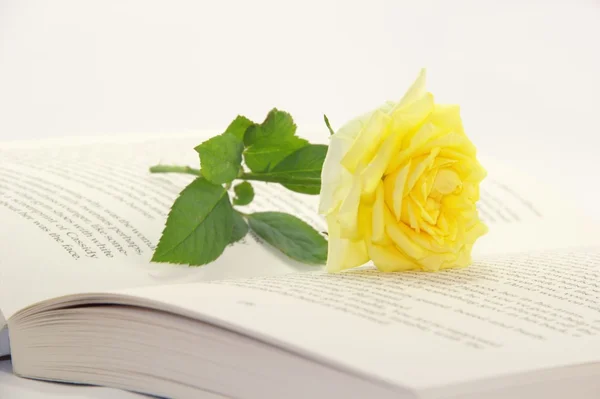 Открытая книга и цветок розы — стоковое фото