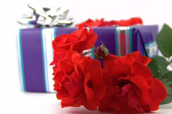 Красная роза и коробка подарков — стоковое фото