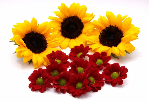 Sunflowers and gerberas — Stock Photo, Image