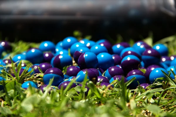 Paintballs na grama — Fotografia de Stock