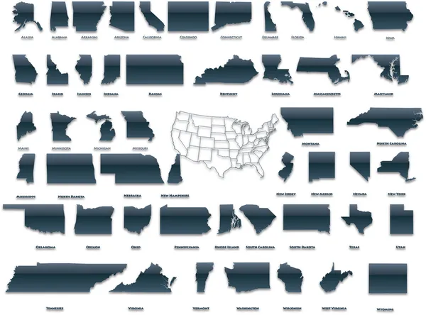 国家的美国包 — 图库矢量图片