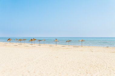 Seaside and straw beach umbrellas clipart