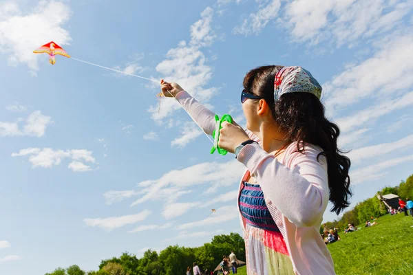 stock image The kite