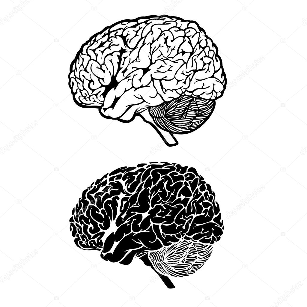 brain graphic black and white