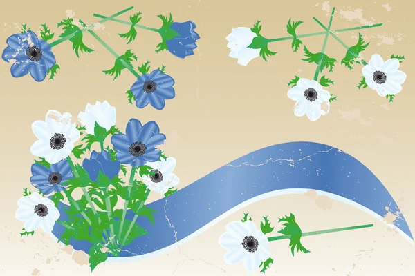 Blauwe en witte anemonen met vintage banner — Stockvector