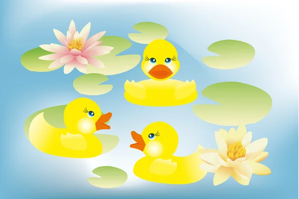 Ducklings swimming in lake with lotus flowers — Stock Vector