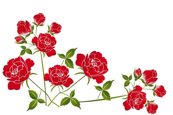 白底红玫瑰 — 图库矢量图片