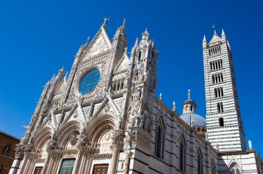 Siena Katedrali'nin