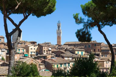 Torre del mangia Kulesi