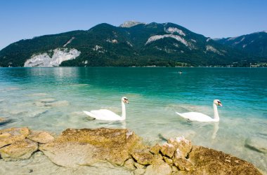Wolfgangsee in Austria clipart