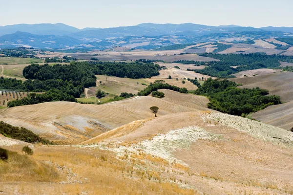 Paesaggio toscano in italia — Foto Stock