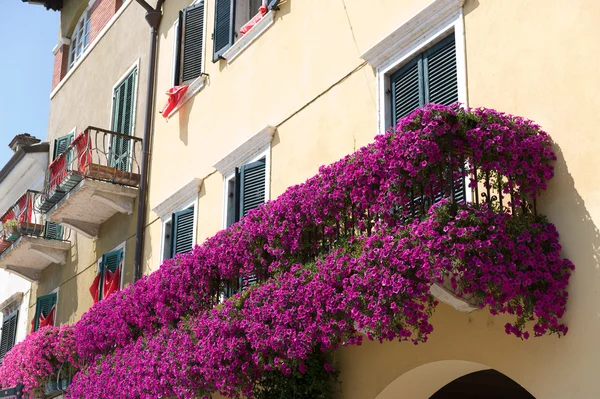 Цветы на балконе — стоковое фото