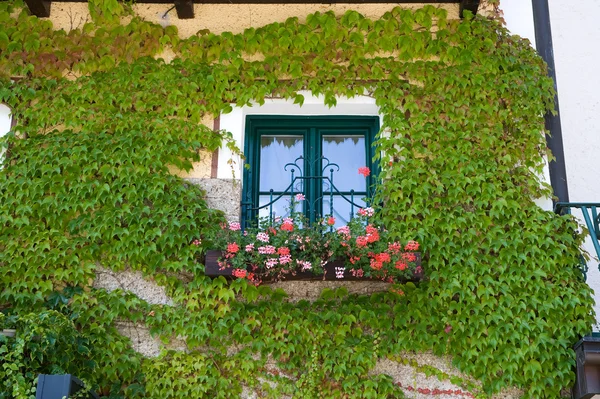 在奥地利一所房子的窗口 — 图库照片