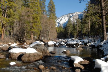 Yosemite Parkı