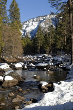 Kış Yosemite Parkı