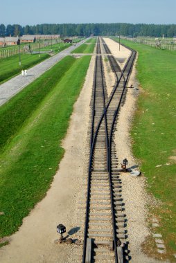 Auschwitz Birkenau'dan bir resim