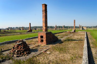 Auschwitz Birkenau'dan bir resim