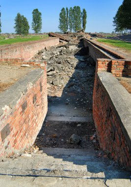 Auschwitz Birkenau'dan bir resim