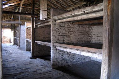 Auschwitz Birkenau'dan bir resim