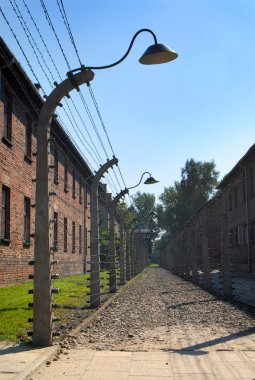 Auschwitz Birkenau'dan bir resim