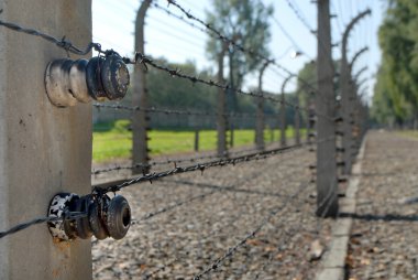 Auschwitz'ten resim