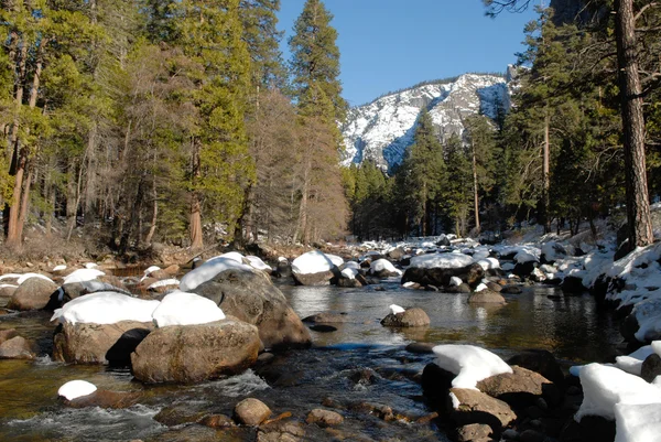 stock image Yosemite park