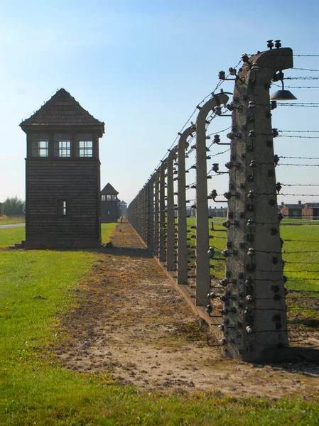 Bild från Auschwitz Birkenau — Stockfoto