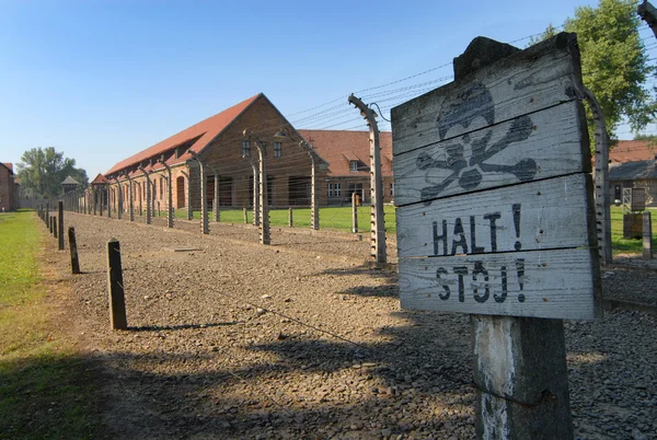 Foto van Auschwitz — Stockfoto