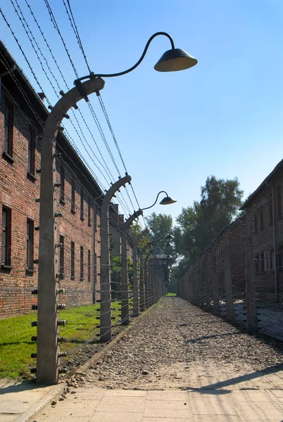 Obrázek z Osvětim Birkenau — Stock fotografie