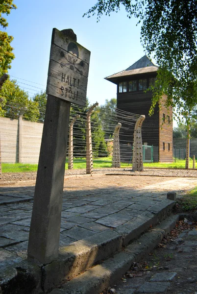Immagine da Auschwitz — Foto Stock