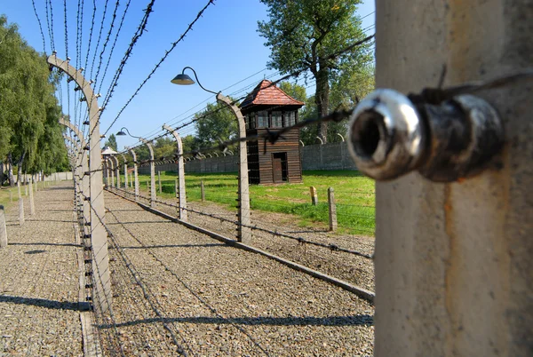 Foto de Auschwitz — Foto de Stock