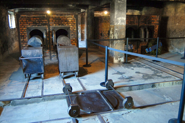 Picture from Auschwitz 1