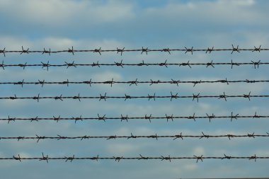 Rusty barbed wire isolated on white clipart