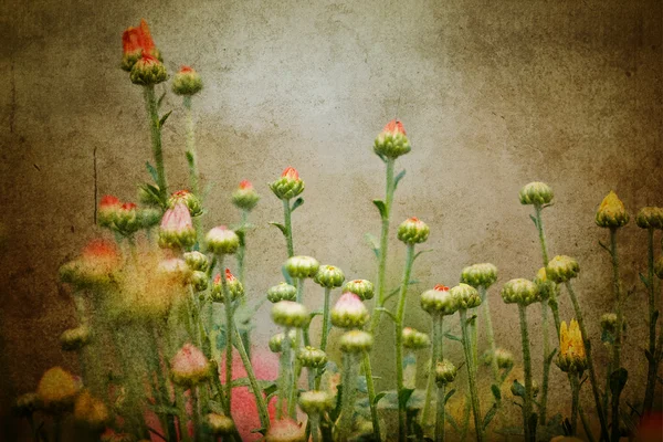 Grungy mooie bloemen — Stockfoto