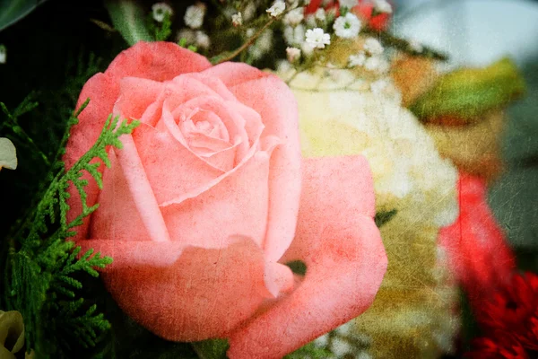 꽃 핑크 장미 — 스톡 사진