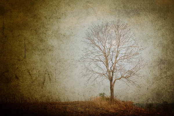 丘の上のツリー. — ストック写真