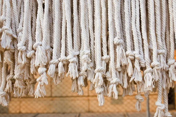 The white rope. — Stock Photo, Image
